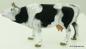 Mobile Preview: Preiser Elastolin Kuh brüllend, schwarz-weiß