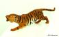 Mobile Preview: Preiser Elastolin Tiger, angreifend