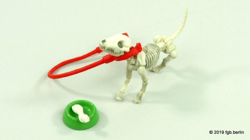 Prehm Skelett Hund